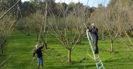 7-10 Rozenburg - Snoeigereedschap voor Dorpstuin Rozenburg_klein