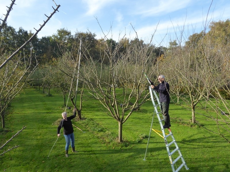 7-10 Rozenburg - Snoeigereedschap voor Dorpstuin Rozenburg